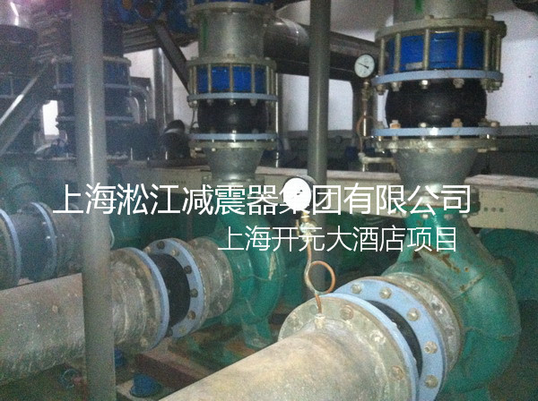 「2015」发往上海松江开元大酒店橡胶避震喉、ZTA型弹簧减震器使用现场
